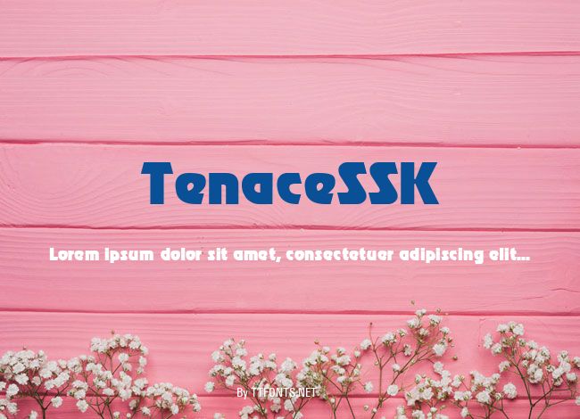 TenaceSSK example